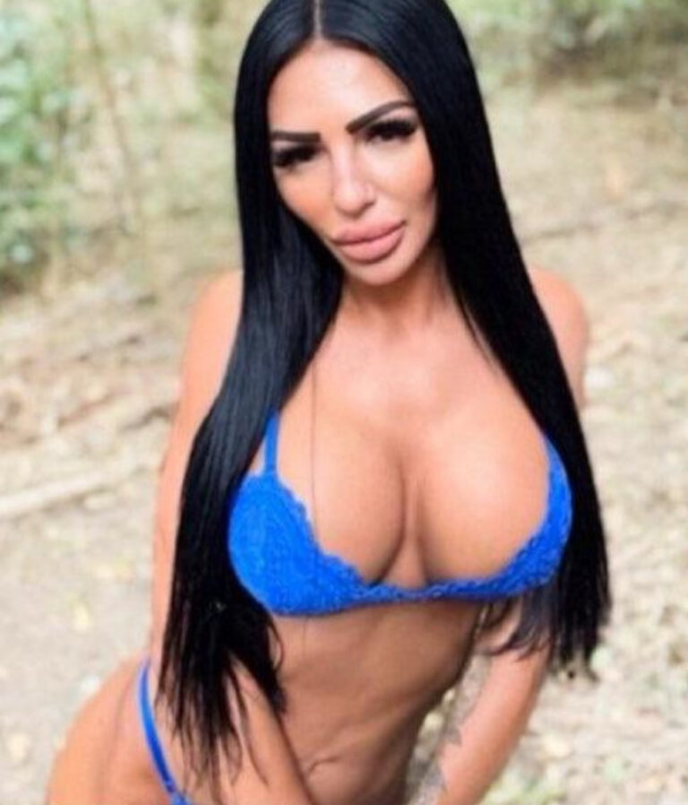 Lexi European Companion